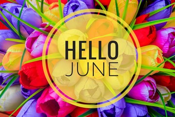 Banner hello june. New season . Welcome card Photo with flowers. Bright spring flowers. City flowerbed. Petals © alenka2194
