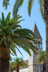 Fototapeta premium Tower and palm trees in Torgir