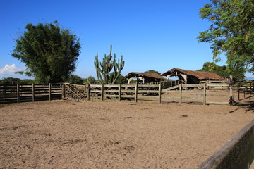 auf der farm bei den gauchos