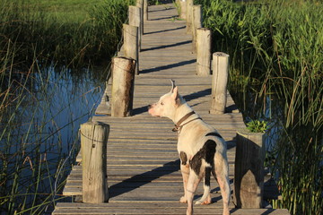 auf der farm bei den gauchos