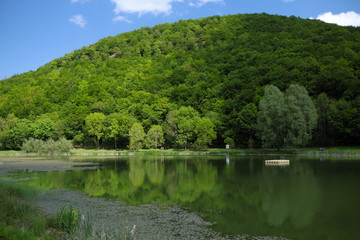 Riedener Waldsee bei Rieden in der Eifel - Stockfoto