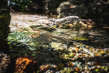 Fototapeta premium Stream of natural water source at its starting point among the rocks