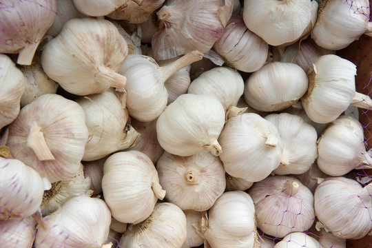 garlic on white background. garlic for food texture