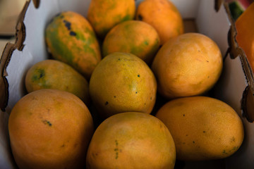 Delicious mangoes in a fruit shop