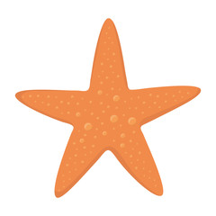 Fototapeta premium Sea star design, Ocean starfish vector illustration