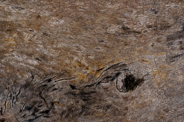 wood background texture, abstract, nature background