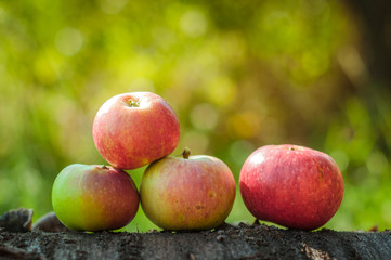 Apples on wooden surface, healthy beautiful fruits