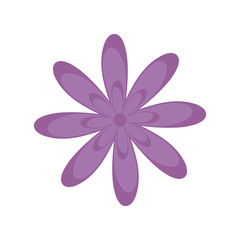 beautiful flower natural isolated icon