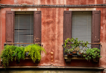 Traditional colorful residential house window with opened shutters and flower pot in Venice