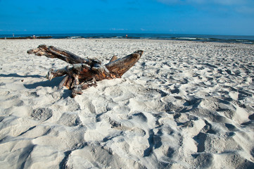 Plaże Bałtyku-Łeba