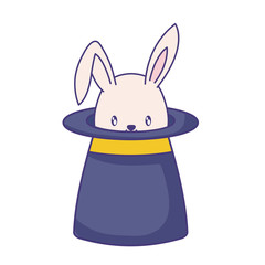 wizard top hat with cute rabbit