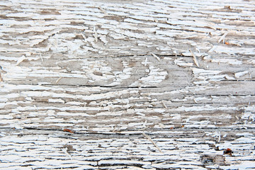 Fototapeta premium The concept of a gray wooden background. Blurred wood surface. Abstract background. Interior and exterior decoration.
