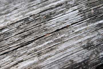 The concept of a gray wooden background. Blurred wood surface. Abstract background. Interior and exterior decoration.