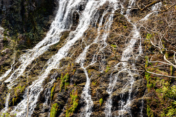 Tendaki, a waterfall in Yabu city in Hyogo prefecture, Japan