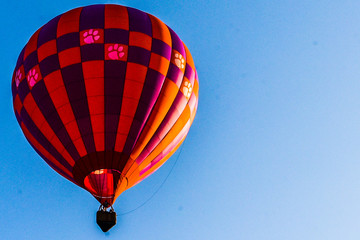 Fototapeta premium hot air balloon
