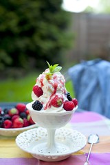 softijs with berries and cream. ice-cream with fruits in a cube
