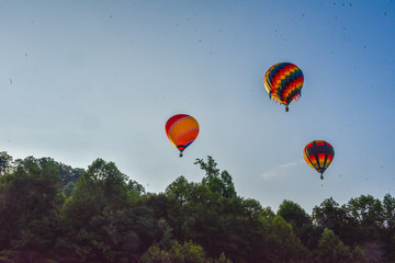 hot air balloons in the sky