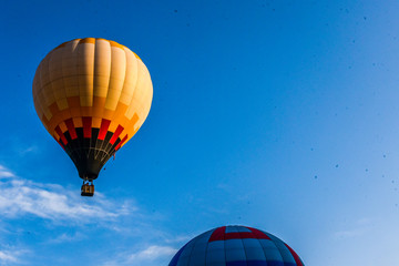 Obraz premium hot air balloon