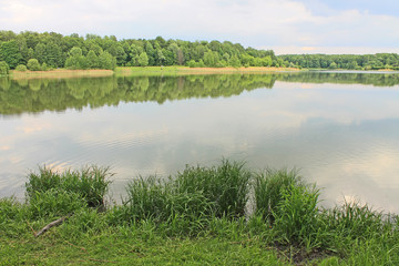 Beautiful natural Park on a clear summer day with green trees