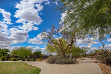 Desert Park in the spring time