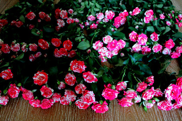 Large bouquet of pink roses on the floor