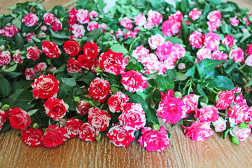 Large bouquet of pink roses on the floor