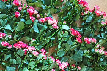 Large bouquet of pink roses on the floor