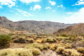 Fototapeta na wymiar Landscape view Roque Cinchado (rock formation), El Teide, Tenerife, Spain
