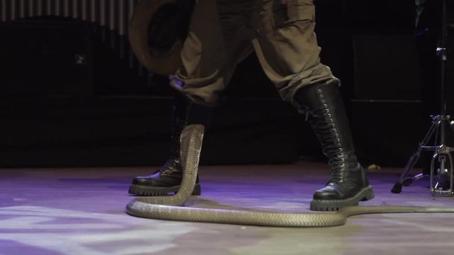 Close-up of man's legs in high black army boots playing with cobra on the circus stage. Action. Dangerous performance