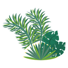 Tropical leaves nature cartoon isolated