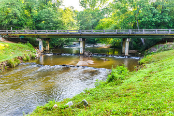Fototapeta premium bridge in the forest
