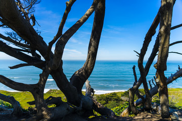 overlooking the Pacific Ocean at Thornton State Beach, Daley City - San Francisco Bay Area, California