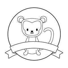 cute monkey animal in frame circular with ribbon