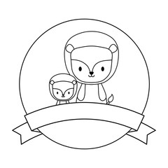 cute lions animals in frame circular with ribbon