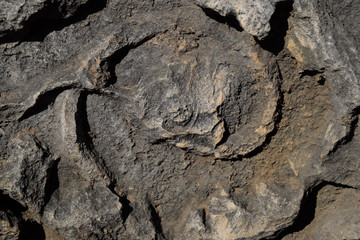 Naklejka premium The element of the gate of Hadrian on the ground near the gate. Ruins of ancient construction.