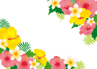 ハイビスカスのイラスト