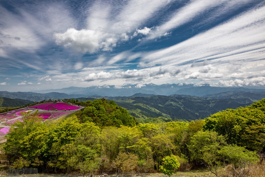 茶臼山高原