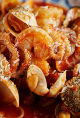 Octopus and seashells tomato spaghetti