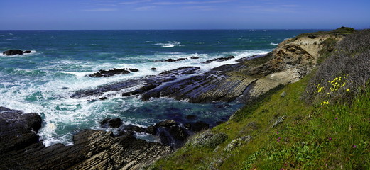 Panoramic landscape of the Pacific Coastline along State Road 1, California.