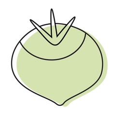 Turnip hand drawn illustration isolated on background