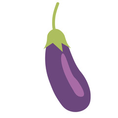 Eggplant hand drawn illustration isolated on background