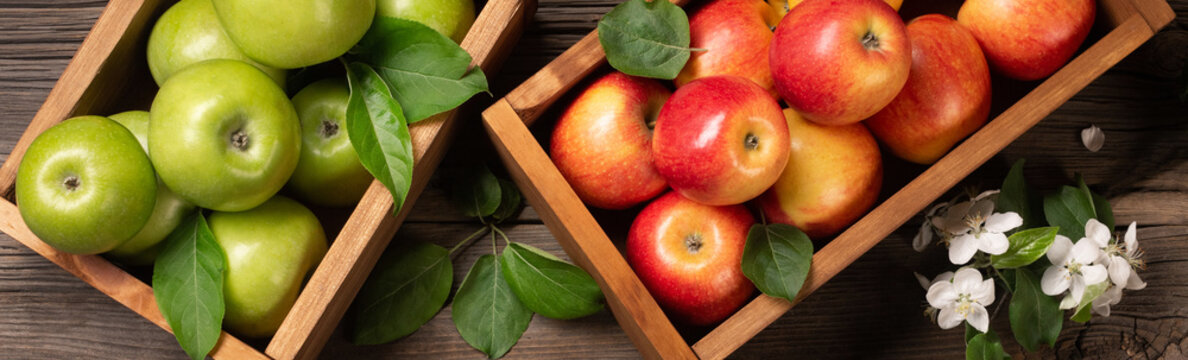 Ripe red and green apples in wooden box with branch of white flowers on a wooden table