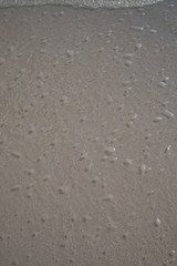 A graphic of the seashore