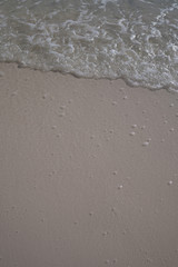 A graphic of the seashore