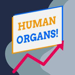 Handwriting text writing Huanalysis Organs. Conceptual photo The internal genital structures of the huanalysis body One blank rectangle above another arrow zigzag upwards increasing sale