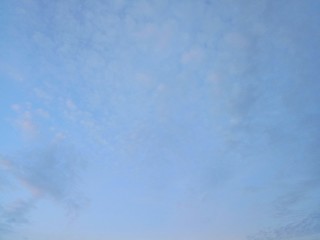 cloud in the sky and the tree 