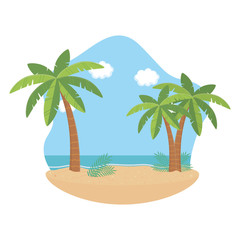 Fototapeta na wymiar Palm tree design, Summer vacation vector illustration