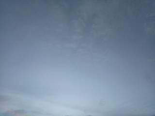 Fototapeta premium cloud in the sky and the tree 