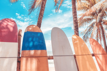 Surfboard and palm tree on beach background.