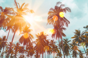 Tropical palm tree with colorful bokeh sun light on sunset sky cloud abstract background. - obrazy, fototapety, plakaty